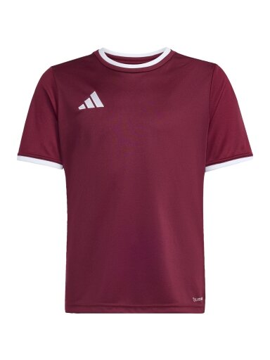 Adidas Entrada 26 Jersey marškiniai vaikams bordo spalvos JZ2530