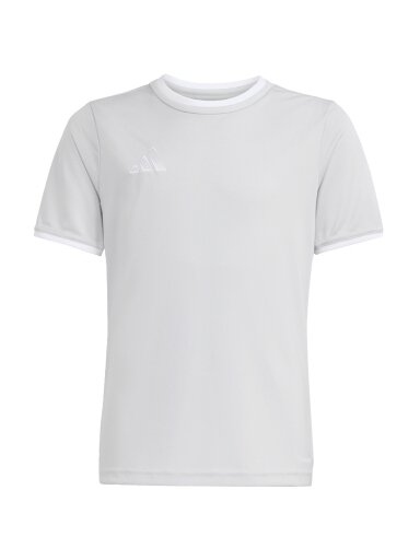 Adidas Entrada 26 Jersey marškiniai vaikams pilki JZ2525