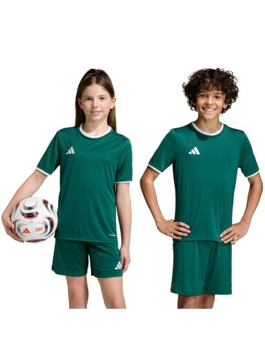 Adidas Entrada 26 Jersey marškinėliai vaikams žali KE9834