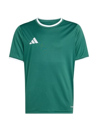 Adidas Entrada 26 Jersey marškinėliai vaikams žali KE9834