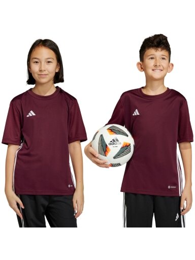 Vaikiški marškinėliai adidas Table 23 Jersey bordo IB4933
