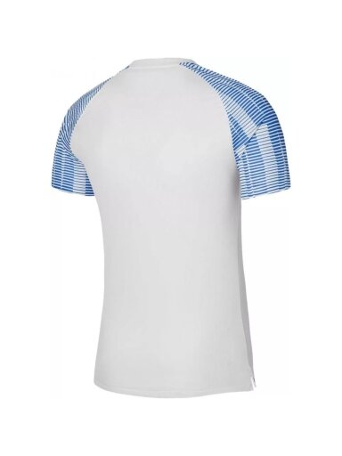 Nike Df Academy Jsy SS vaikiški marškinėliai balti DH8369 102