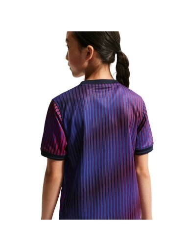 Nike vaikiški futbolo marškinėliai Paris Saint-Germain, violetiniai, IQ6946 420