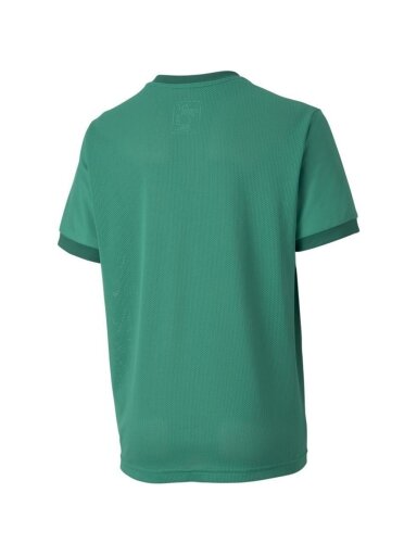 Puma teamGOAL 23 Džersis vaikiški marškinėliai žali 704160 05