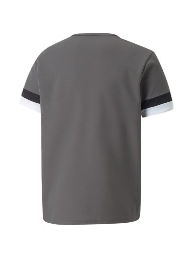 Puma teamRISE Jersey Jr vaikiški marškinėliai, pilki 704938 13