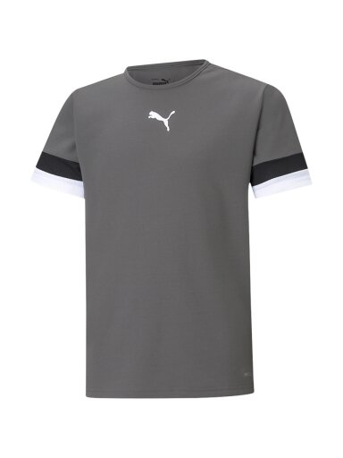 Puma teamRISE Jersey Jr vaikiški marškinėliai, pilki 704938 13