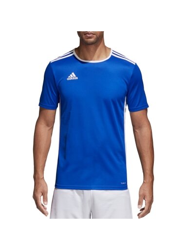 Adidas Entrada 18 Jersey vyrams mėlyna CF1037