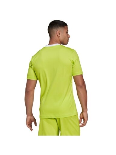 Vyriški marškinėliai adidas Entrada 22 Jersey lime HC5077