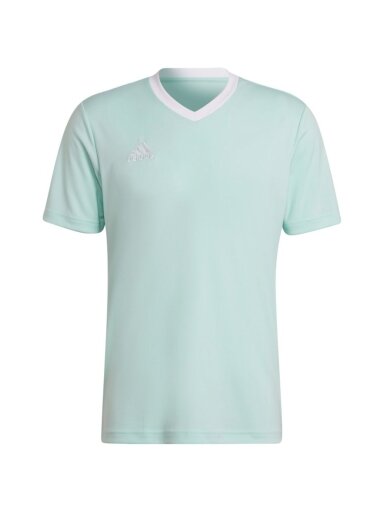 Vyriški marškinėliai adidas Entrada 22 Jersey mint HC5073