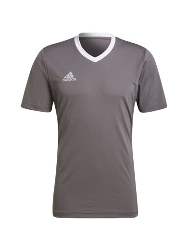 Vyriški marškinėliai Adidas Entrada 22 Jersey ball HE1574
