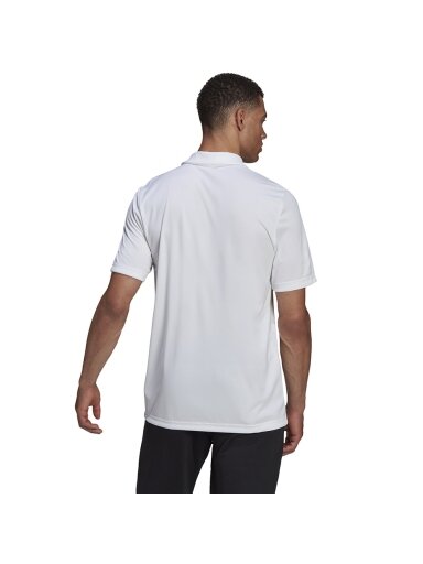 Adidas Entrada 22 Polo vyriški marškinėliai, balti HC5067