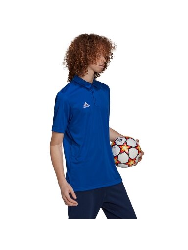 Vyriški marškinėliai Adidas Entrada 22 Polo mėlyni HG6285