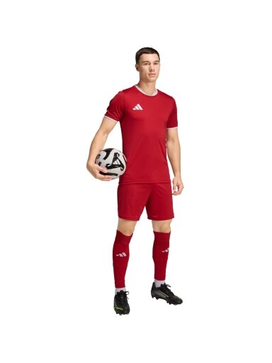 adidas Entrada 26 Jersey vyrams raudona JZ2501