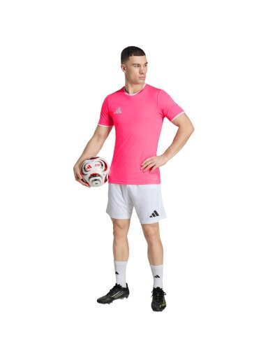 adidas Entrada 26 Jersey vyrams rožinė KE9839
