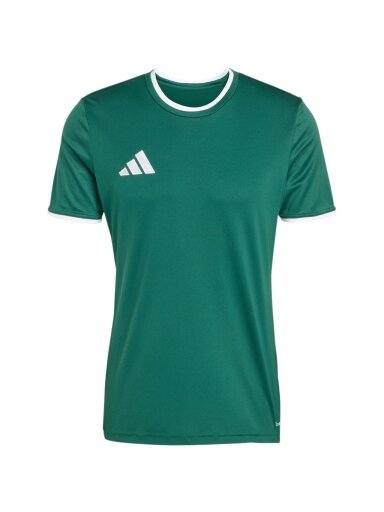 Vyriški marškiniai Adidas Entrada 26 Jersey green KE9832