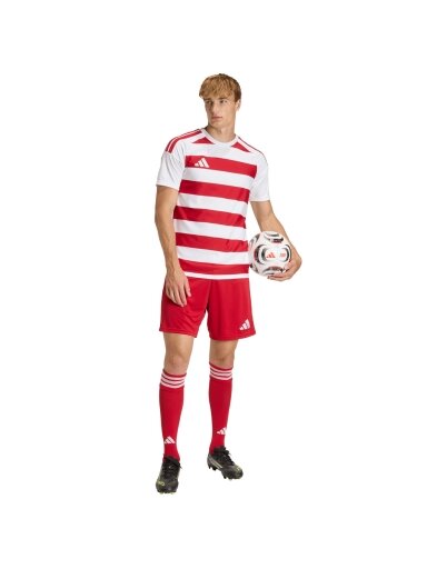 adidas Hooped 26 Jersey vyrams balto-raudona KF3388