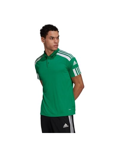Adidas Squadra 21 Polo vyriški marškinėliai, žali GP6430