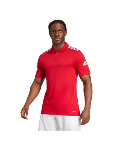 Adidas Squadra 25 Polo vyriški marškiniai raudoni JY3418