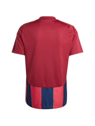 Adidas Striped 24 vyriški marškinėliai, bordo ir tamsiai mėlynos spalvos IW2149