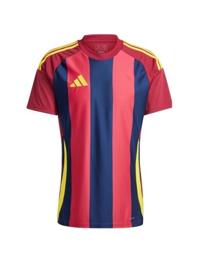 Adidas Striped 24 vyriški marškinėliai, bordo ir tamsiai mėlynos spalvos IW2149