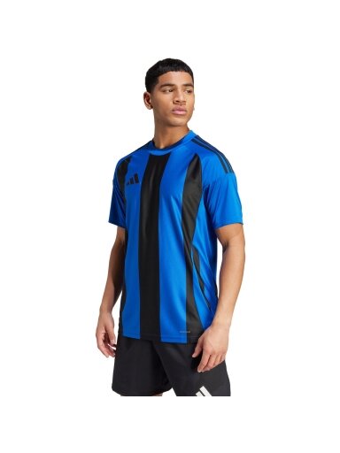 Vyriškas adidas Striped 24 Jersey mėlynas-navy mėlynas IW2147