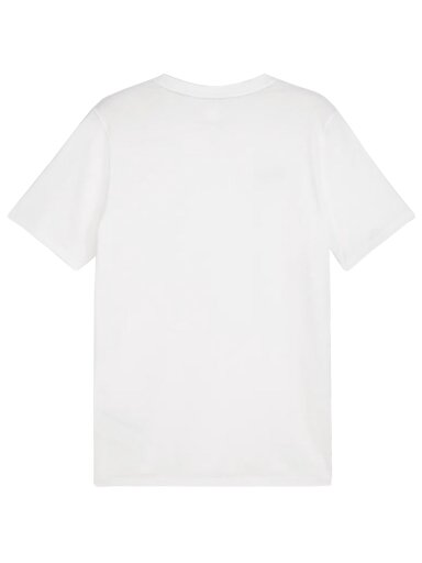Puma Team Goal Casuals Tee vyriški marškinėliai balti 658615 04