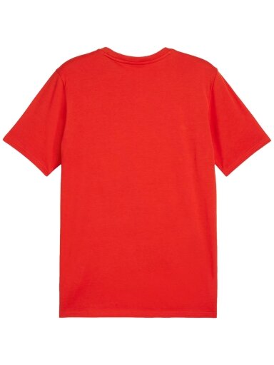 Puma Team Goal Casuals Tee vyriški marškiniai raudoni 658615 01