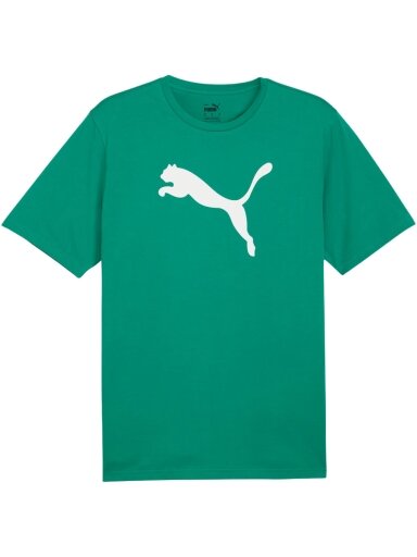 Puma Team Rise Logo Jersey Cotton vyrams žalia 658705 05