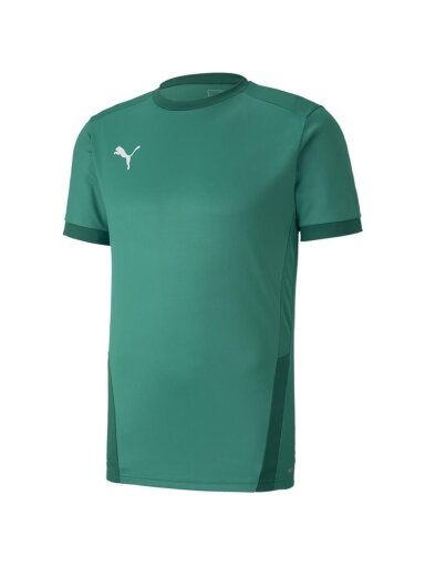 Puma teamGOAL 23 Džersis vyriški marškinėliai žali 704171 05