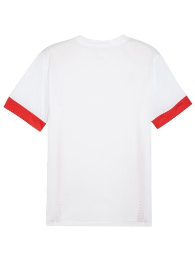 Puma teamGoal Matchday Jersey vyrams balta-raudona 705747 11
