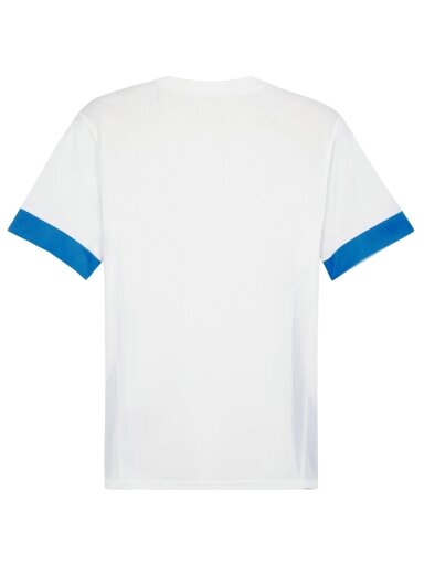 Puma teamGoal Matchday Jersey vyrams balto-mėlynas 705747 12