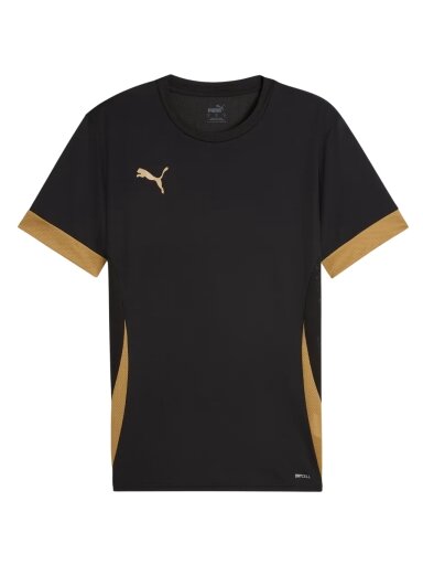 Puma teamGoal Matchday Jersey vyrams juoda-auksinė 705747 28