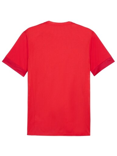 Puma vyriški teamGoal Matchday Jersey marškinėliai raudoni 705747 01