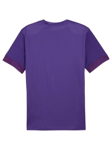 Puma teamGoal Matchday Jersey violetinė vyrams 705747 10