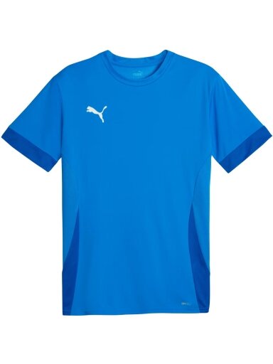 Puma teamGoal Matchday Jersey vyrams mėlyna 705747 02