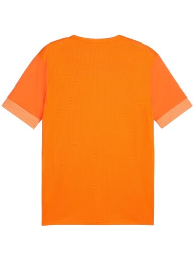 Puma teamGoal Matchday Jersey vyrams oranžinė 705747 08