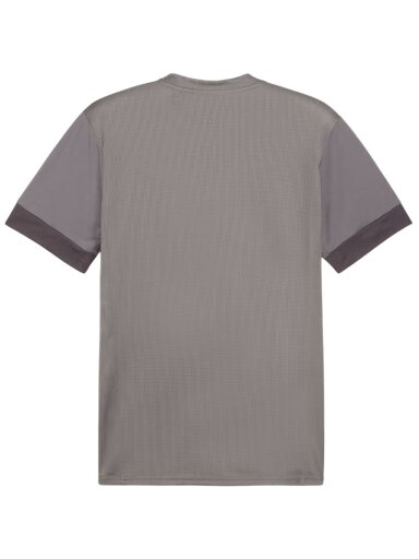 Puma teamGoal Matchday Jersey vyriška marškinėliai pilka 705747 13