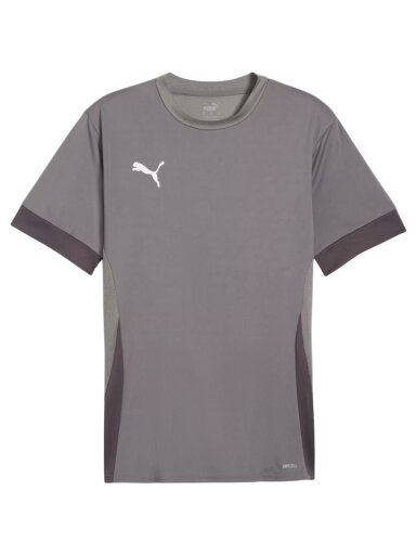 Puma teamGoal Matchday Jersey vyriška marškinėliai pilka 705747 13