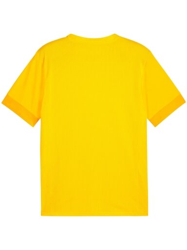 Puma teamGoal Matchday Jersey vyrams geltona 705747 07