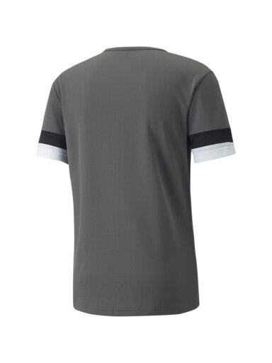 Puma teamRISE Rūkyti vyriški marškinėliai pilki 704932 13