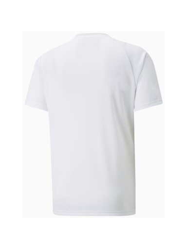Puma teamVISION Jersey vyriški marškinėliai balti 704921 04