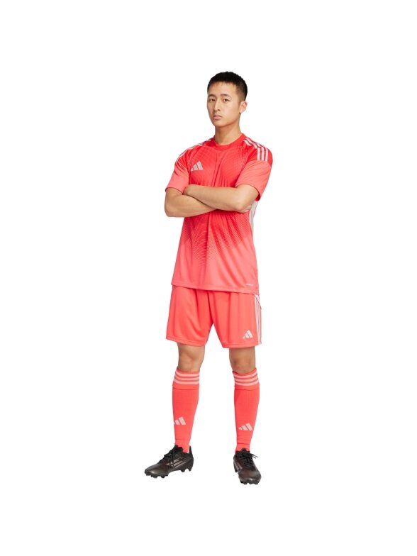 adidas Tiro 25 Competition Jersey vyrų vartininko marškinėliai trumpomis rankovėmis raudoni JI9717 7