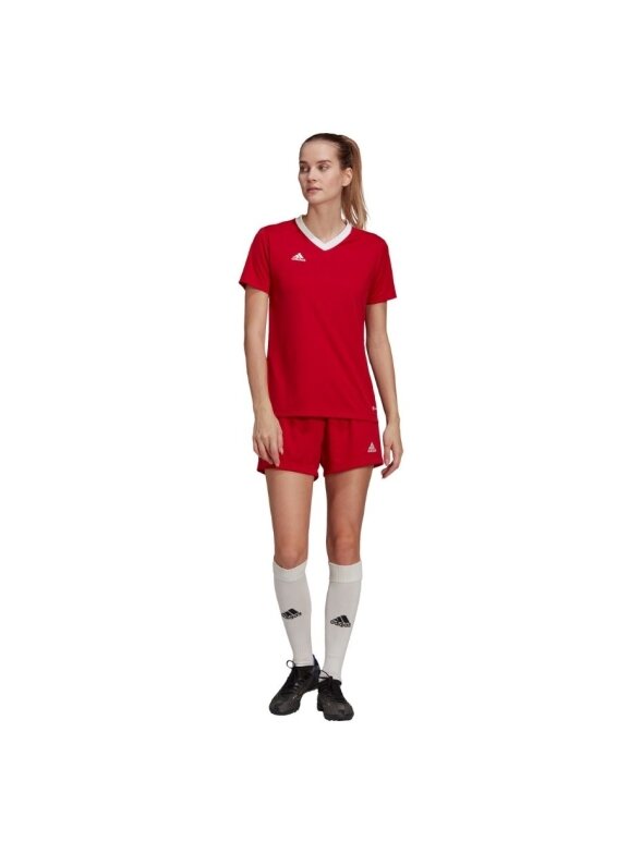 Adidas Entrada 22 Jersey moteriški marškinėliai, raudoni H57571 1