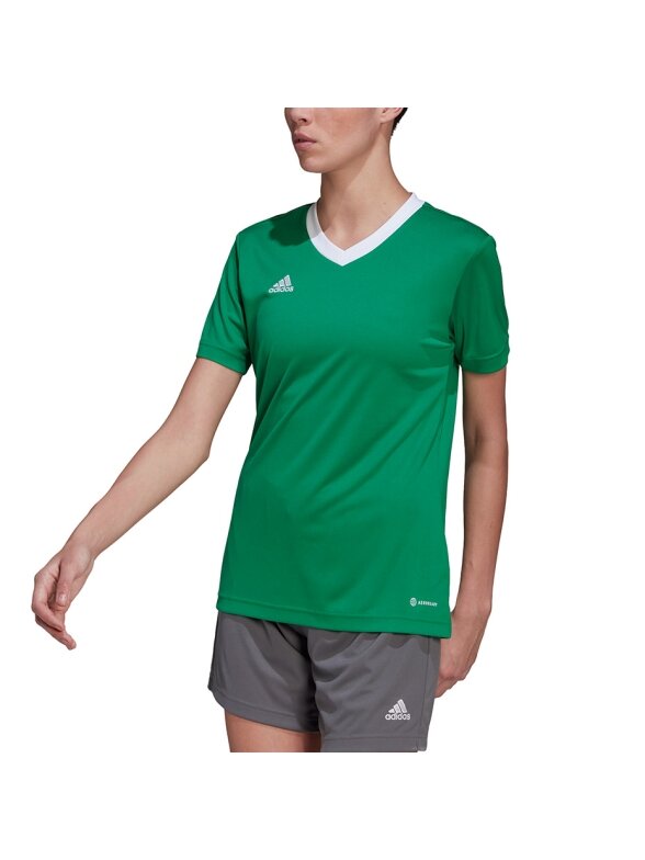 Adidas Entrada 22 Moteriški marškinėliai žali HI2124 2