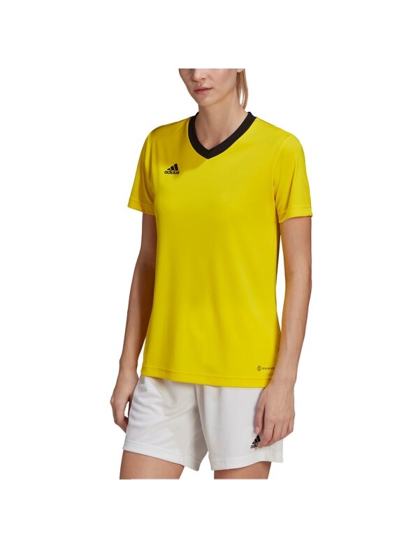 Adidas Entrada 22 Moteriški marškinėliai geltoni HI2125 2