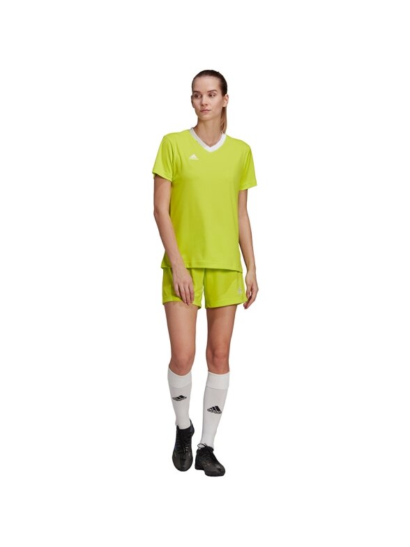 Adidas Entrada 22 Jsy moteriški marškinėliai, žalios spalvos HC5080 2