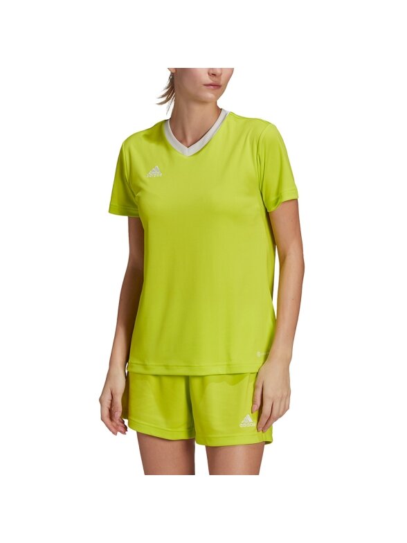 Adidas Entrada 22 Jsy moteriški marškinėliai, žalios spalvos HC5080 3