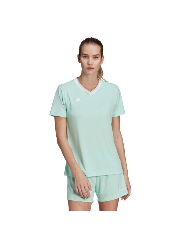 Adidas Entrada 22 Jsy moteriški marškinėliai, mėtų HC5076 1