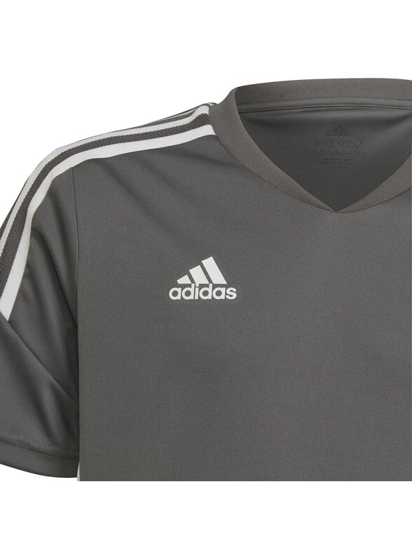 Adidas Condivo 22 Jersey vaikiški marškinėliai, pilki HD2319 2
