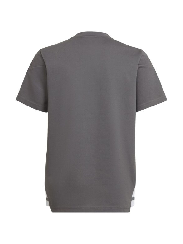 Adidas Condivo 22 Polo vaikiški marškinėliai, pilki HD2314 1 Adidas Condivo 22 Polo vaikiški marškinėliai, pilki HD2314 1